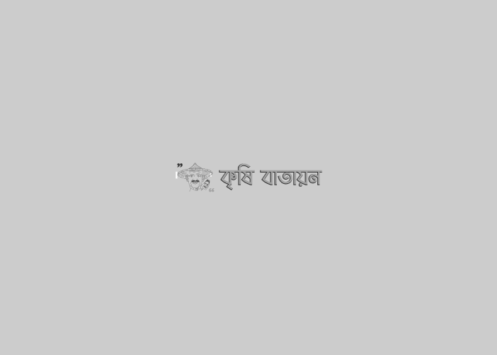 কৃষিতে নতুন মাত্রা